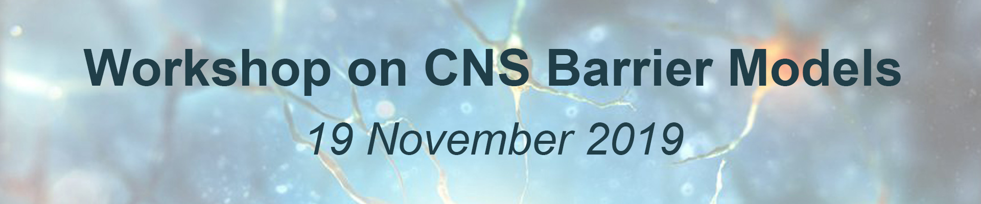 Workshop on CNS barrier models