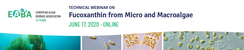 Webinar Fucoxanthin from Micro and Macroalgae