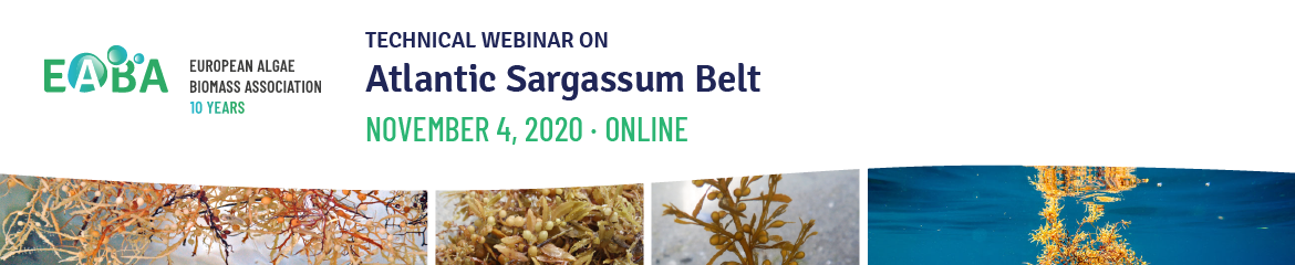 Webinar Atlantic Sargassum Belt