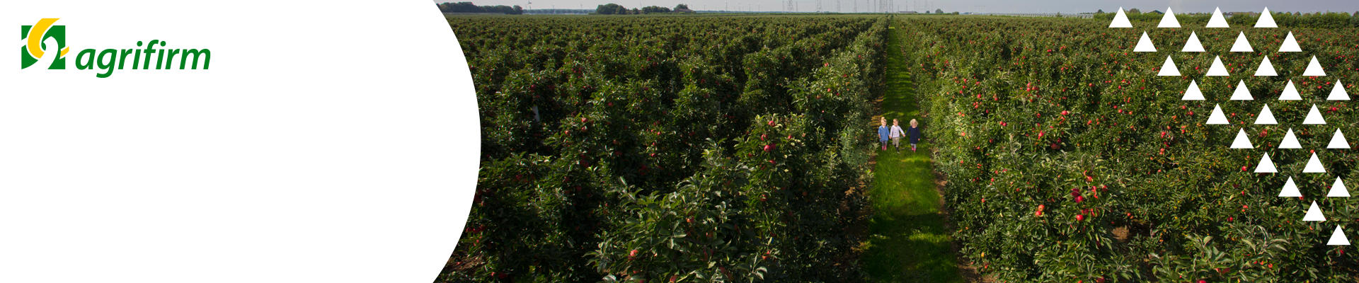 Online kennisbijeenkomsten Fruit appel en peer 