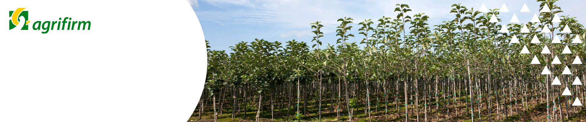 Online kennisbijeenkomsten Fruit Vruchtboomteelt