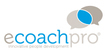 Online International Masterclass e-Coaching (group 29)