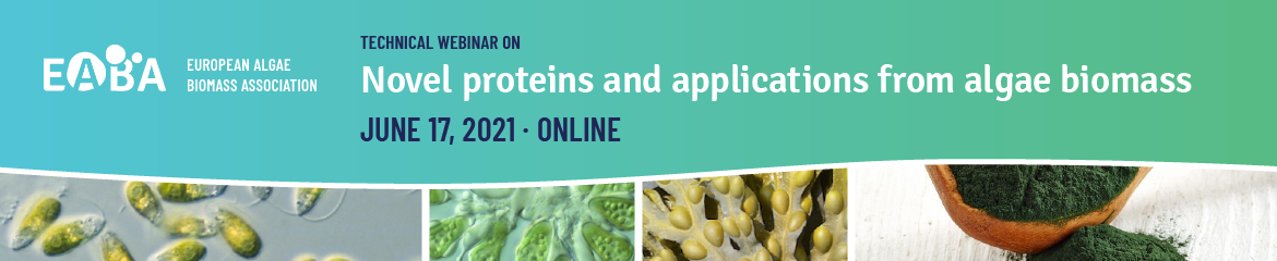 Novel proteins and applications from algae biomass