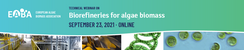 Biorefineries for algae biomass