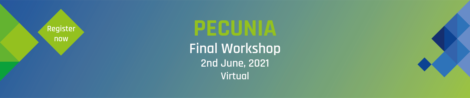 PECUNIA Virtual Final Workshop: Assessing the costs and outcomes of healthcare for economic evaluations in Europe