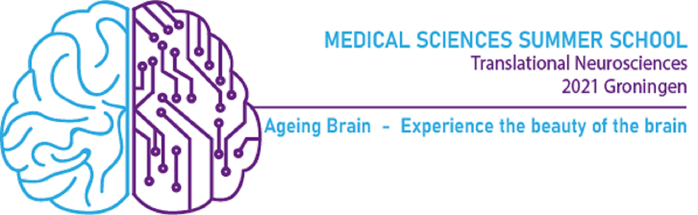 Summer School Ageing Brain