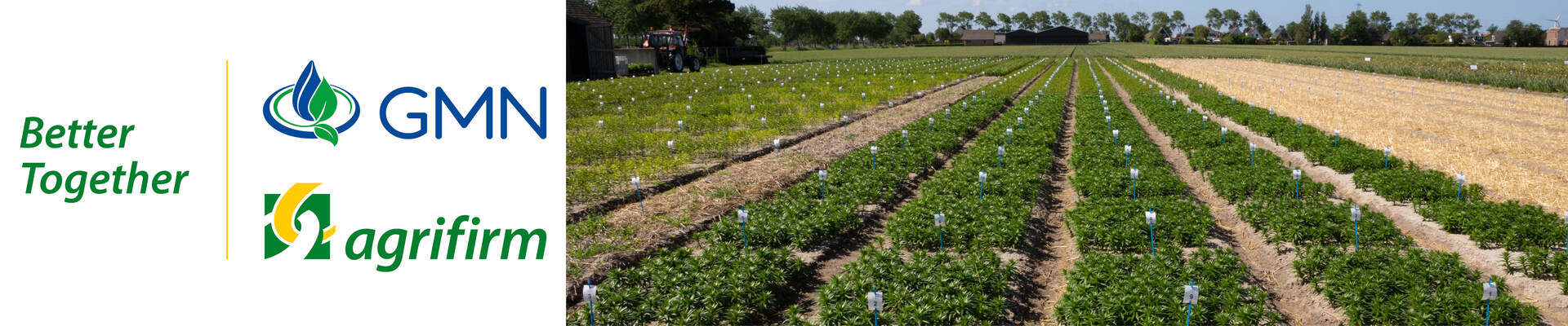 Expertisedag Agrifirm - GMN Breezand 27-08-2021