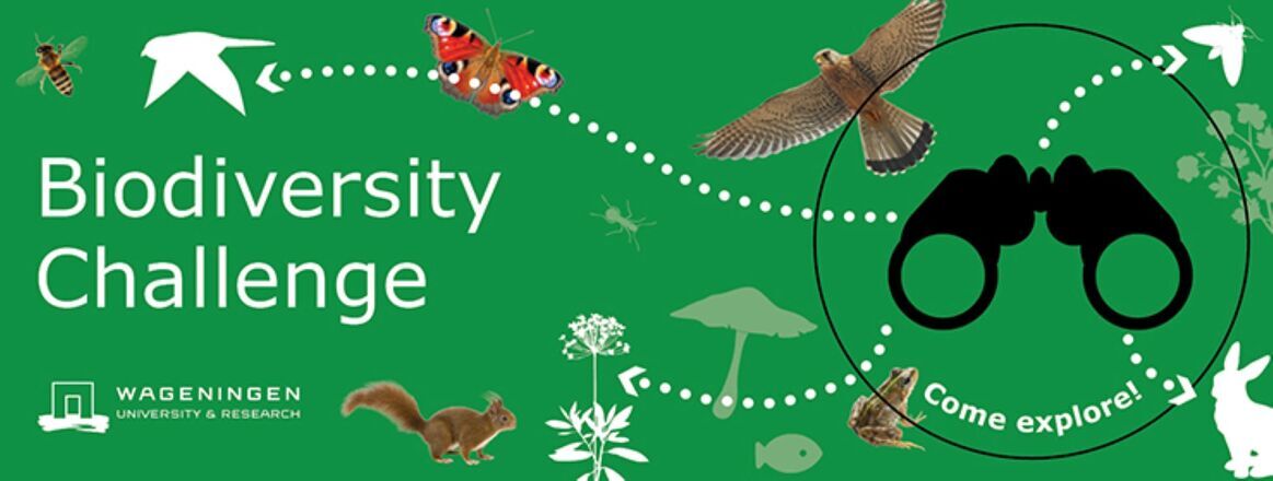 Biodiversity Challenge