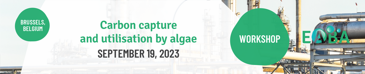 Carbon Capture and Utilisation by Algae