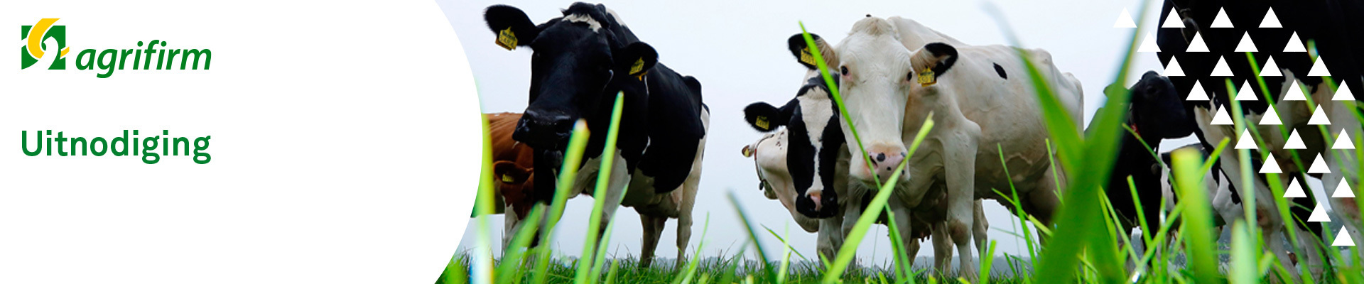 Kennissessie Natuur en Omgeving Brabantse Biodiversiteitsmonitor Melkveehouderij
