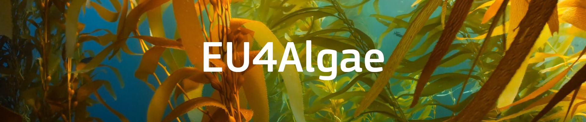 EU4Algae (European Algae Stakeholder Platform) info session