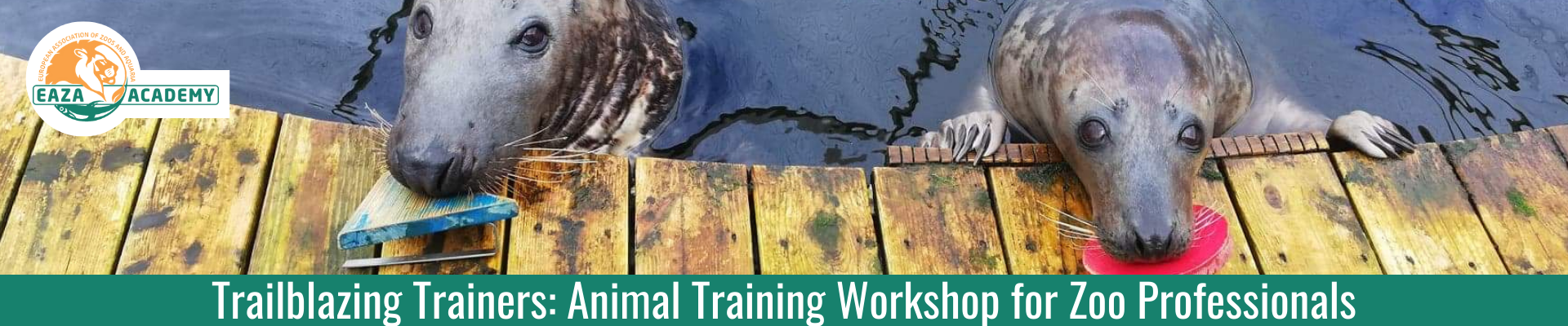Trailblazing Trainers: Animal Training Workshop for Zoo Professionals