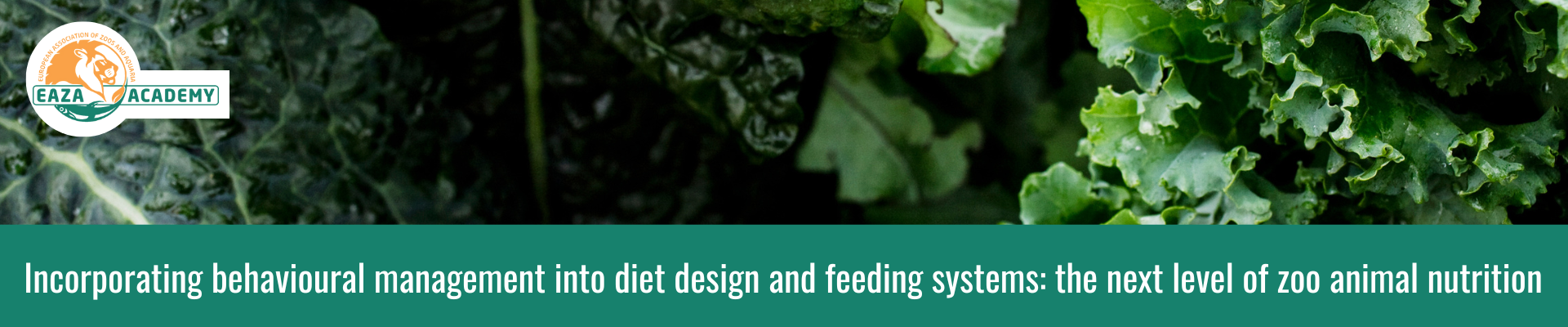 Incorporating behavioural management into diet design and feeding systems: the next level of zoo animal nutrition