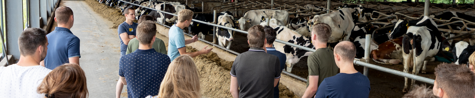 Young Agrifirm: studiedag melkvee Brabant