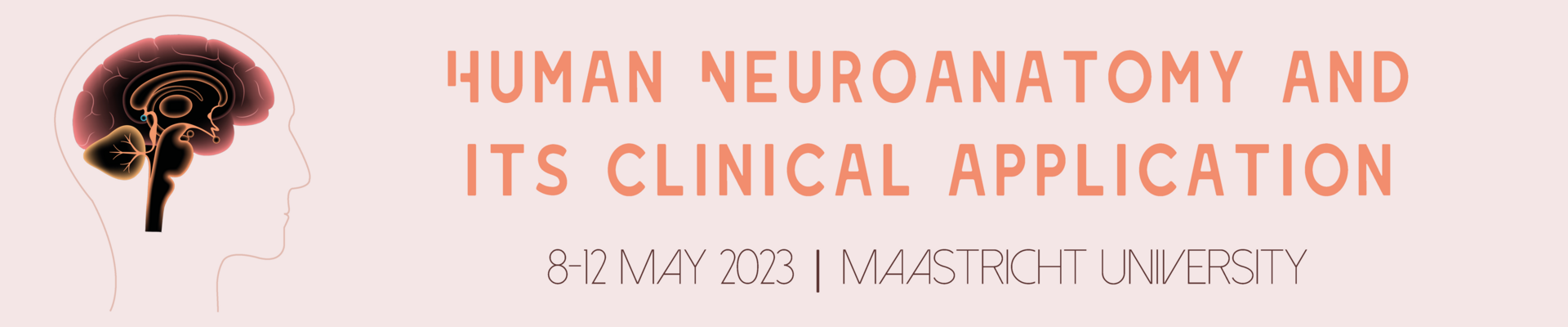 Human Neuroanatomy course