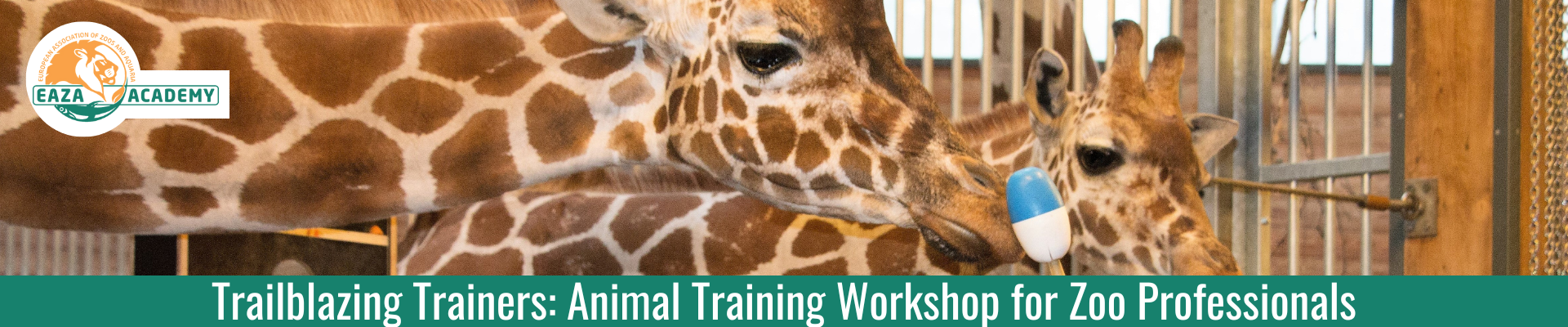 Trailblazing Trainers: Animal Training Workshop for Zoo Professionals