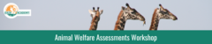 EAZA Academy Animal Welfare Assessments Workshop