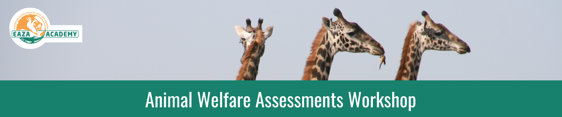 EAZA Academy Animal Welfare Assessments Workshop