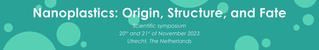 Nanoplastics: Origin, Structure, and Fate