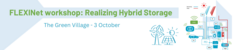 Realizing Hybrid Storage (a FLEXINet workshop)