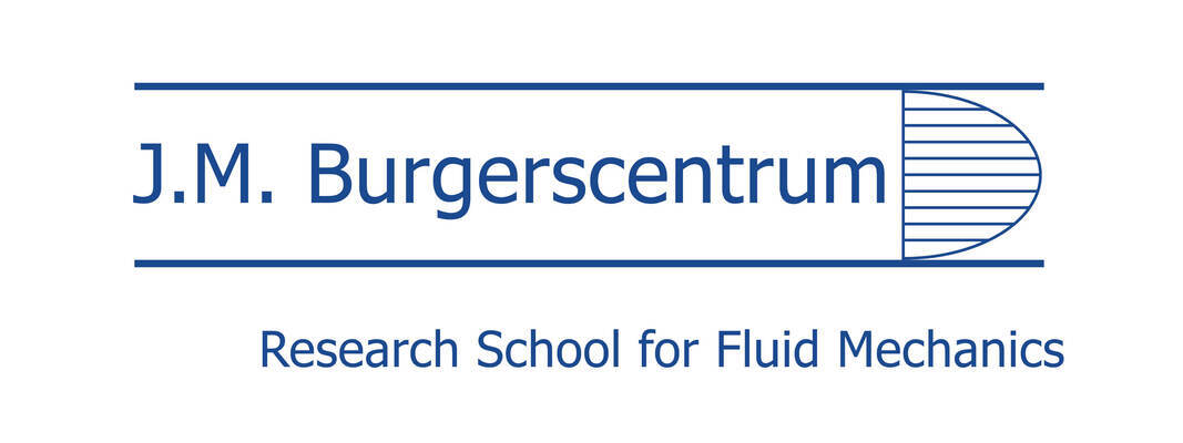 Turbulence (TUD, 6-9 Nov. 2023) for JMBC members