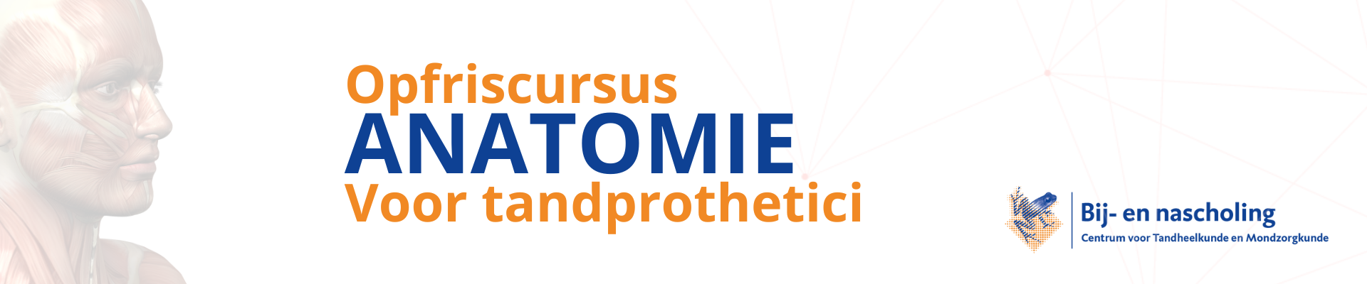 Opfriscursus Anatomie voor tandprothetici