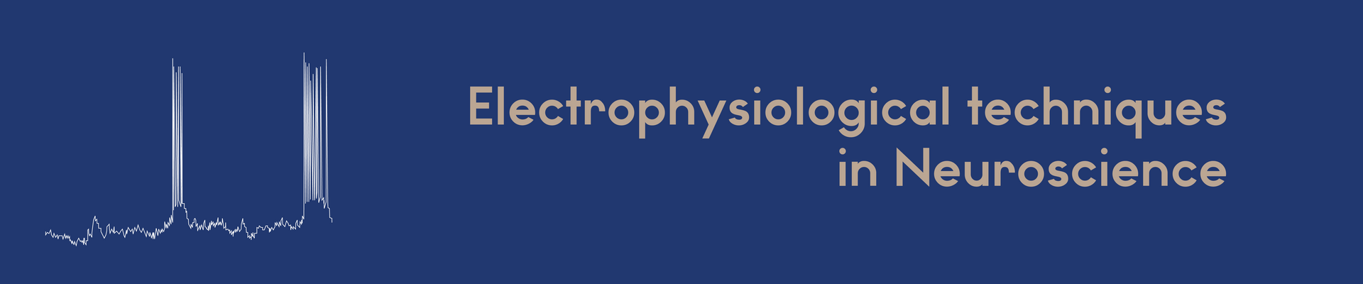 Neuroscience Techniques in Electrophysiology