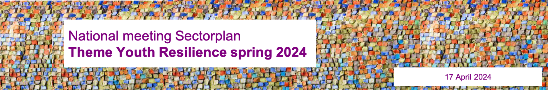 National meeting Sectorplan Theme Youth Resilience spring 2024