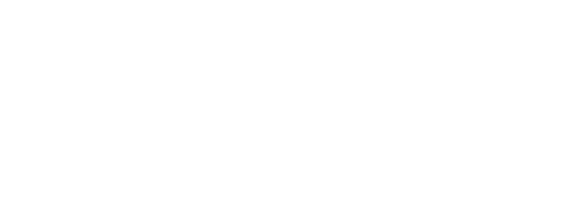 Almere college studiedag 2024