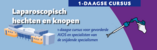 Laparoscopisch hechten en knopen