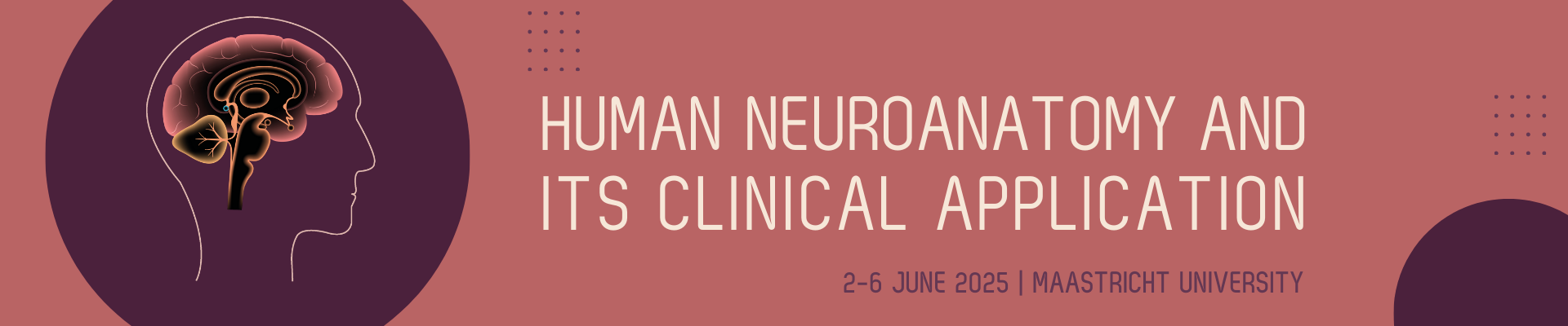 Humane Neuroanatomy Course