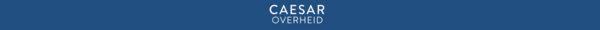 Caesar's leveranciersmiddag voor IT-detacheerders