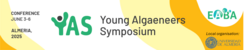 YAS 2025, Almeria