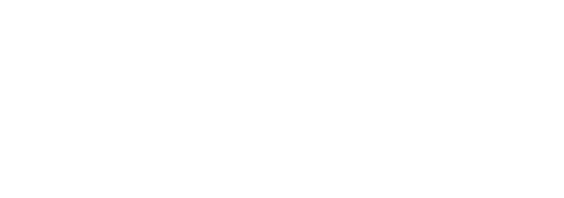 Almere college studiedag 2025