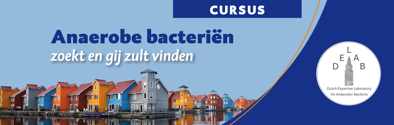 Cursus Anaerobe bacteriën