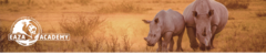 Introduction to EEP Management July 2025