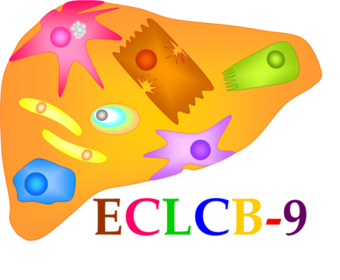 European Club for Liver Cell Biology-9 (ECLCB-9, 2025)