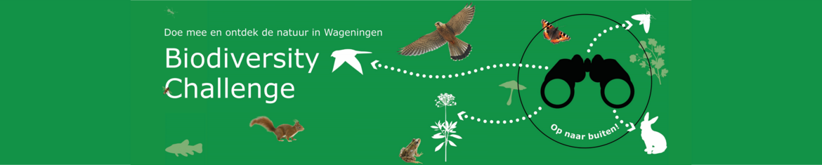 Biodiversity Challenge 2025