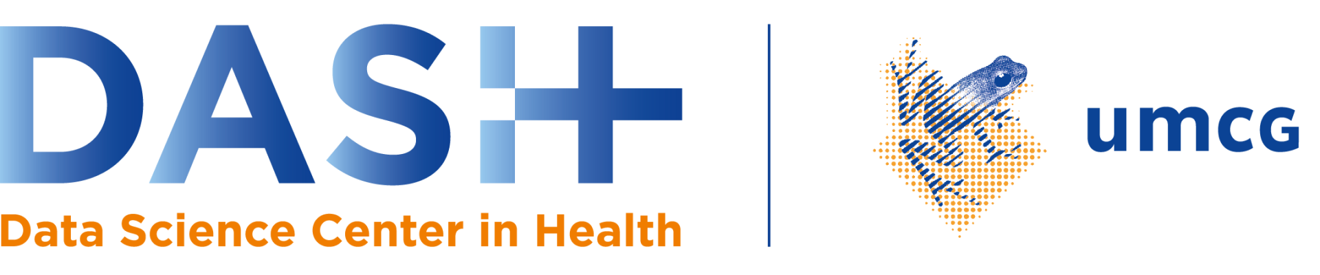 Summer School Data Science and AI in Health (DSAI) 2025