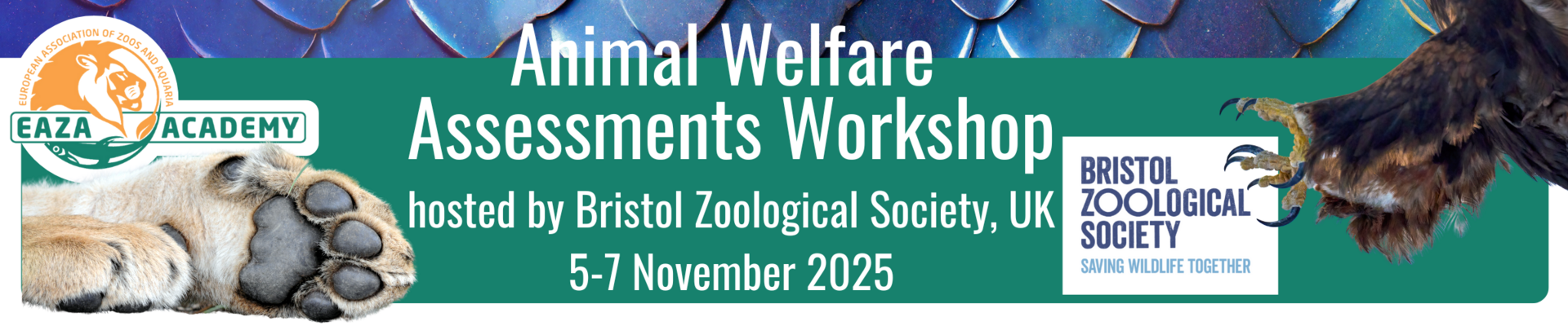 EAZA Academy's Animal Welfare Assessments Workshop
