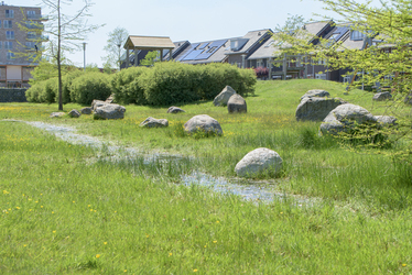 Netwerkbijeenkomst klimaatadaptatie en  water en bodem sturend