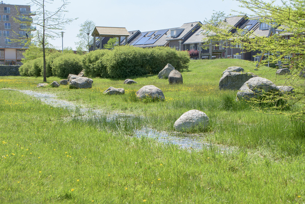 Netwerkbijeenkomst klimaatadaptatie en  water en bodem sturend
