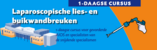 Laparoscopische Lies- en buikwandbreuken