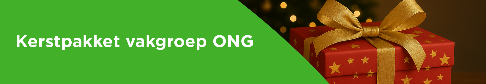 Kerstattentie vakgroep ONG