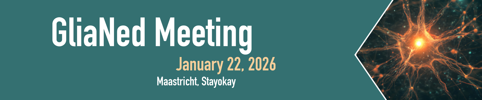 GliaNed 2026