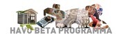 Havo Bèta programma 2026