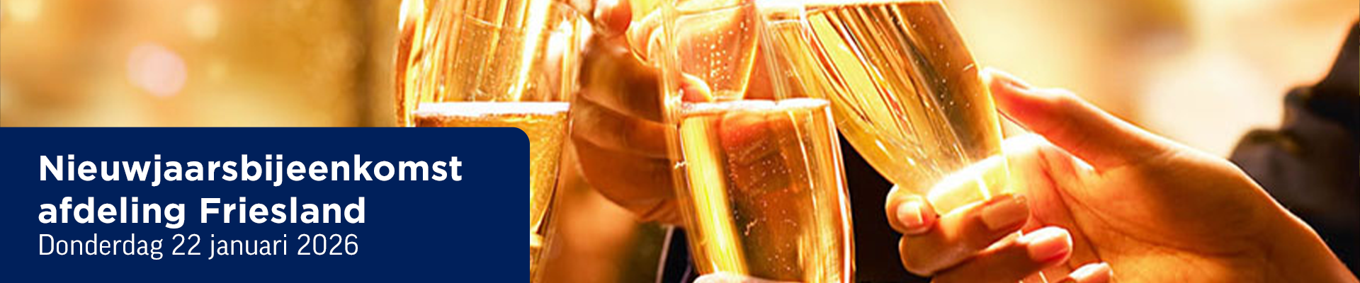 Nieuwjaarsbijeenkomst afdeling Friesland