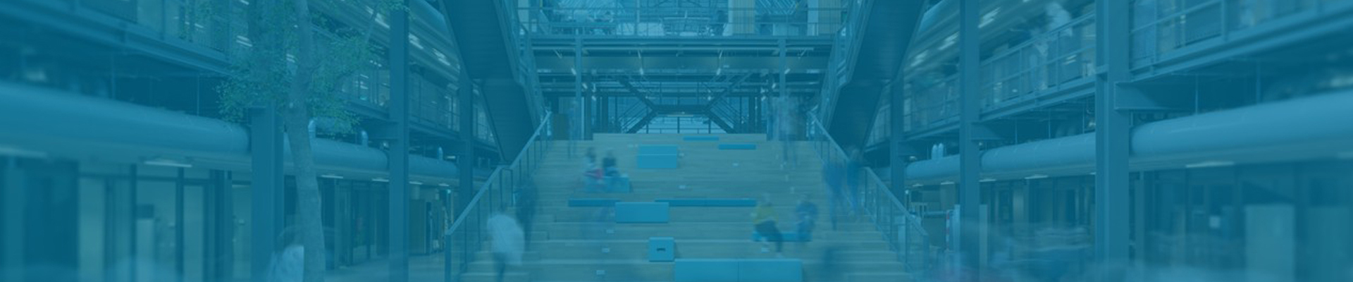 Dutch Biomedical Optics Meeting