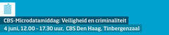 CBS-Microdatamiddag:  Veiligheid en criminaliteit