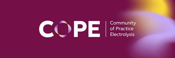 World Hydrogen Summit – Connecting international electrolysis ambitions
